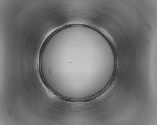 X0000111160988200906301054