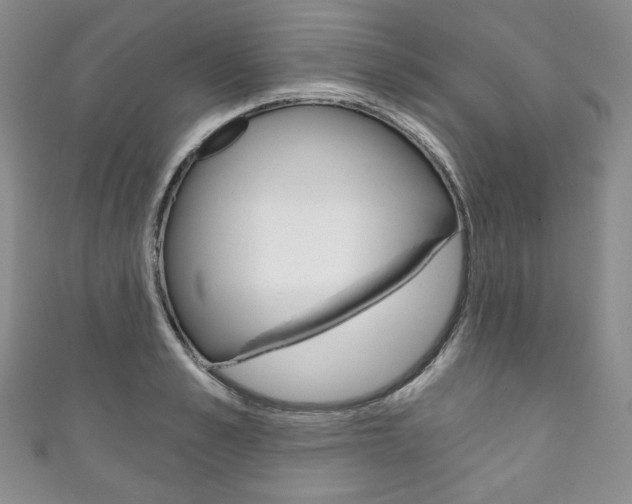 X0000111160989200906301054