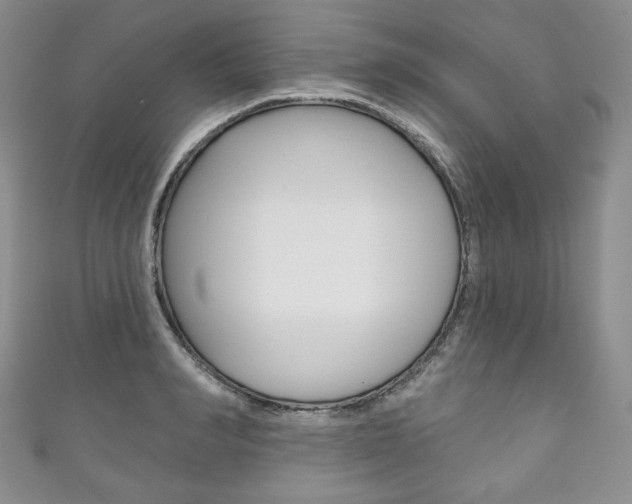 X0000111160990200906301054
