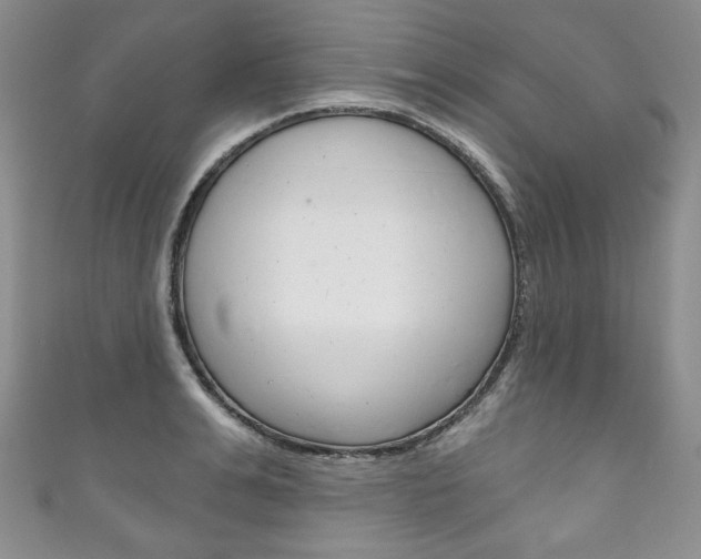 X0000111160991200906301054