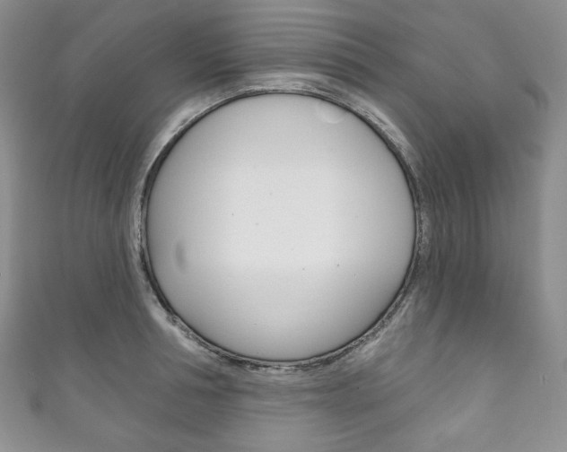 X0000111160994200906301054