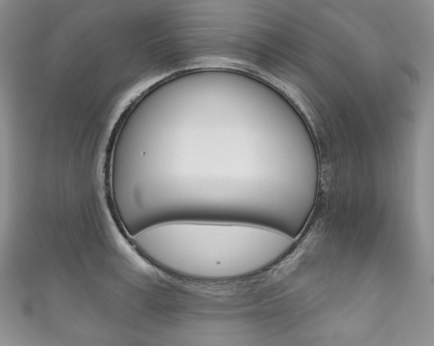 X0000111160995200906301054