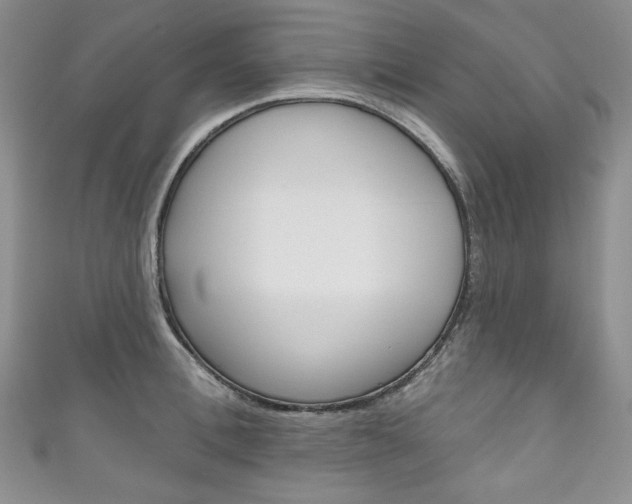 X0000111160996200906301054