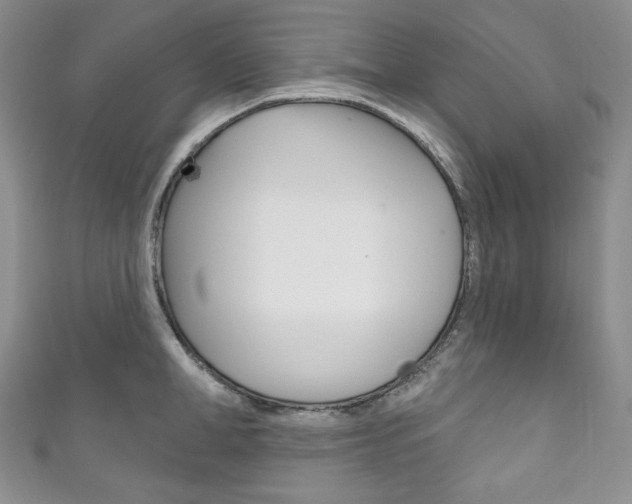 X0000111160998200906301054