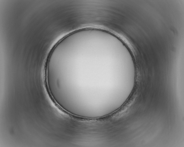 X0000111160999200906301054