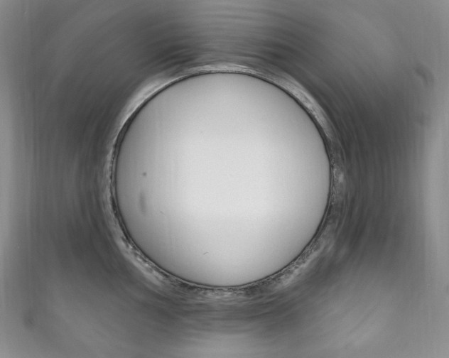 X0000111161002200906301054