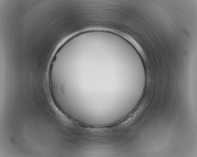 X0000111161004200906301054