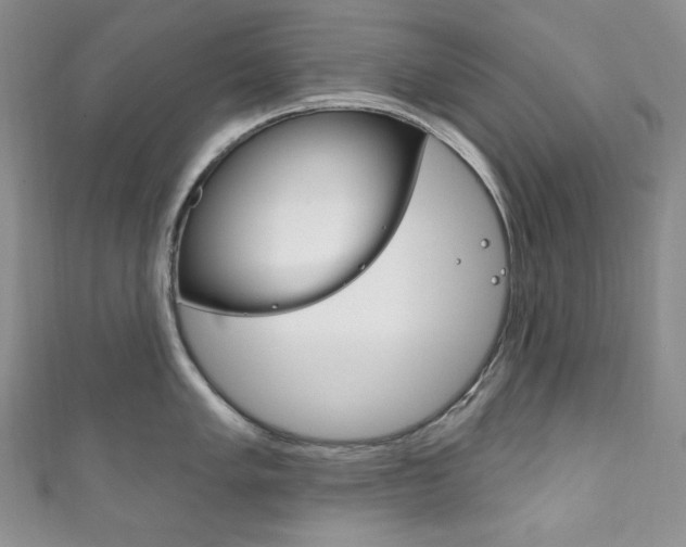 X0000111161005200906301054