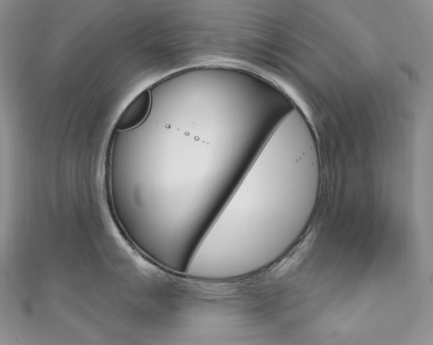 X0000111161007200906301054