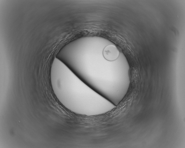 X0000111161009200906301053