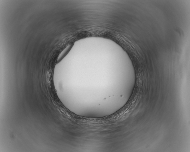 X0000111161010200906301054