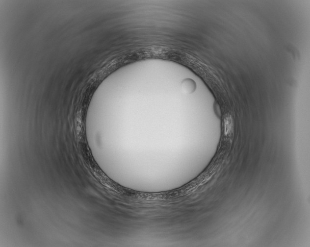 X0000111161011200906301054