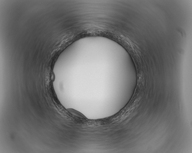 X0000111161012200906301054