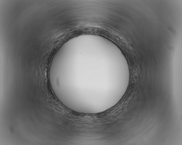 X0000111161013200906301054