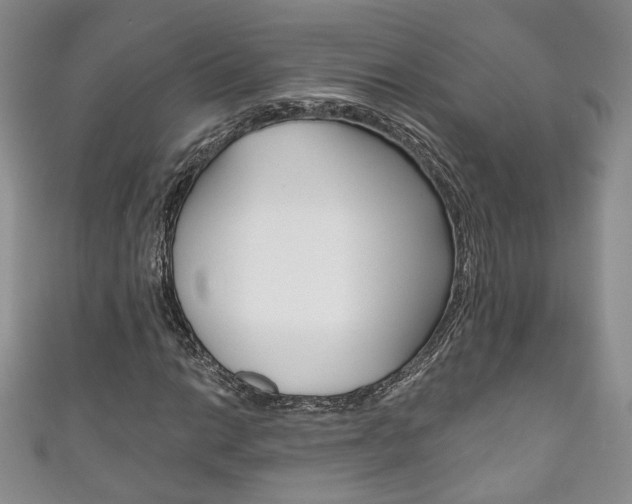 X0000111161014200906301054