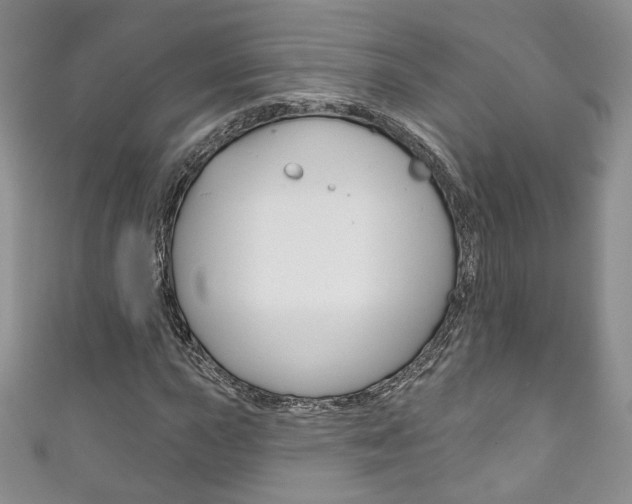 X0000111161015200906301054