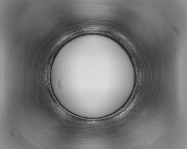 X0000111161017200906301054