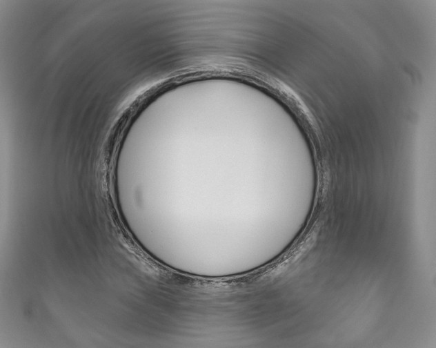 X0000111161019200906301054