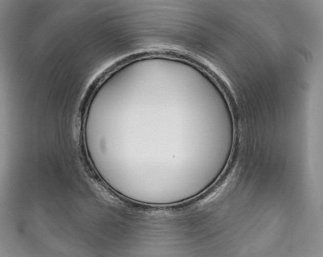 X0000111161021200906301054