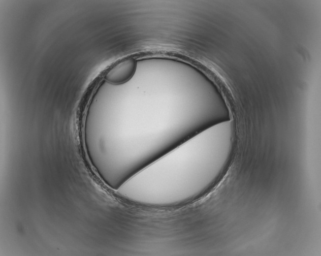 X0000111161022200906301054