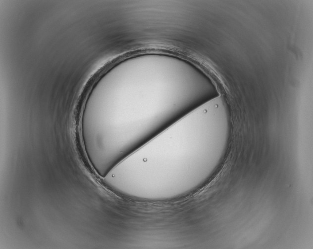 X0000111161024200906301054
