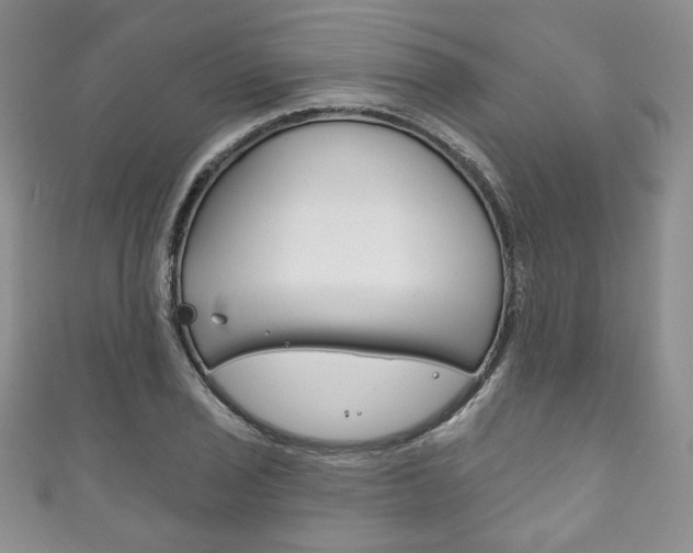 X0000111161029200906301054