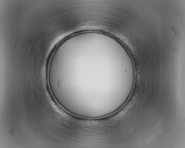 X0000111161030200906301054