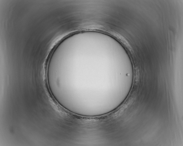 X0000111161031200906301054