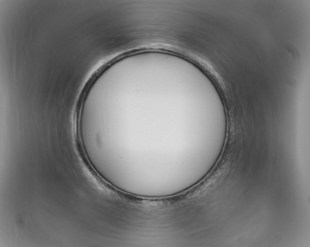 X0000111161032200906301054