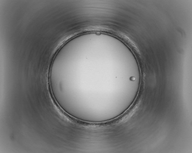X0000111161033200906301054