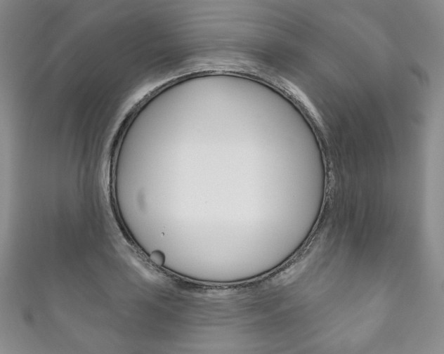 X0000111161035200906301054