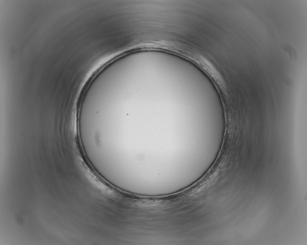 X0000111161036200906301054