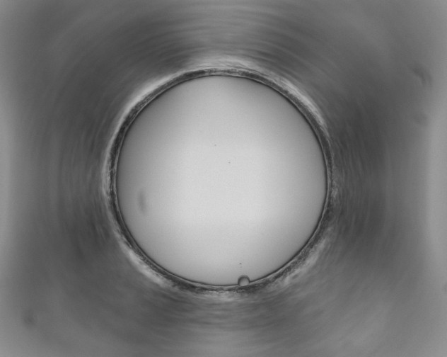 X0000111161037200906301054