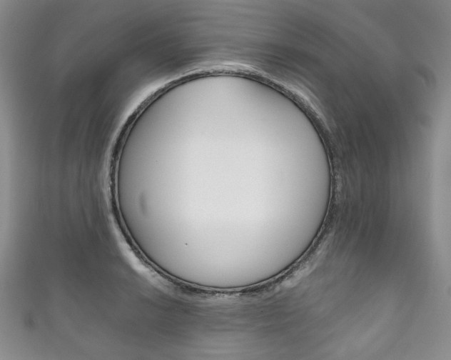 X0000111161038200906301054