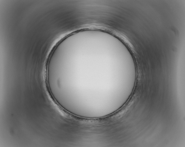 X0000111161040200906301054