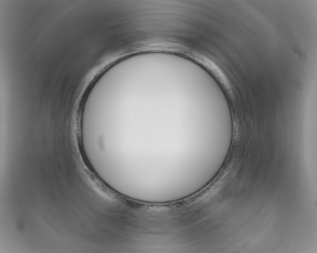 X0000111161043200906301054