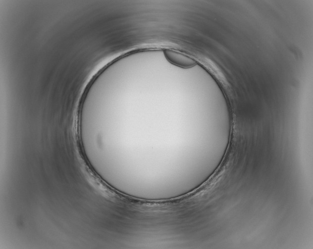 X0000111161044200906301054