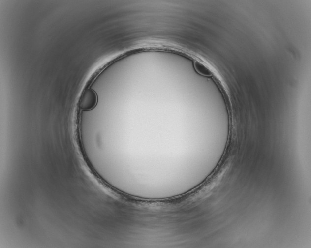 X0000111161045200906301054