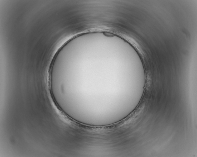X0000111161047200906301054