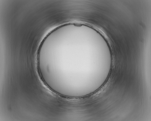 X0000111161048200906301054
