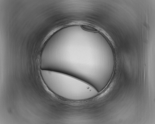 X0000111161049200906301054