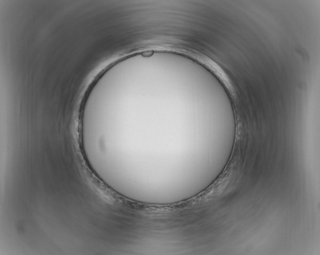 X0000111161051200906301054