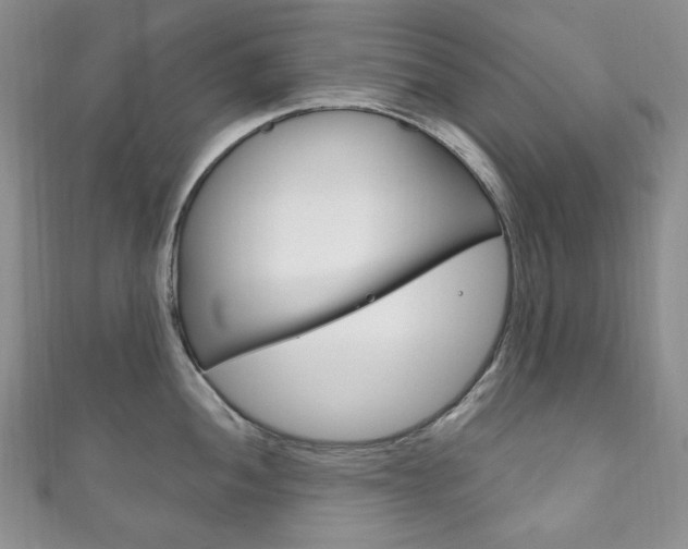 X0000111161052200906301054