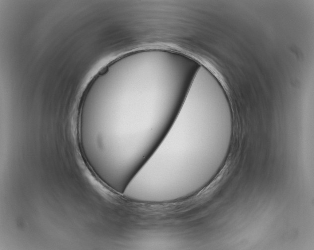 X0000111161054200906301054