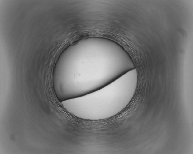 X0000111161057200906301053