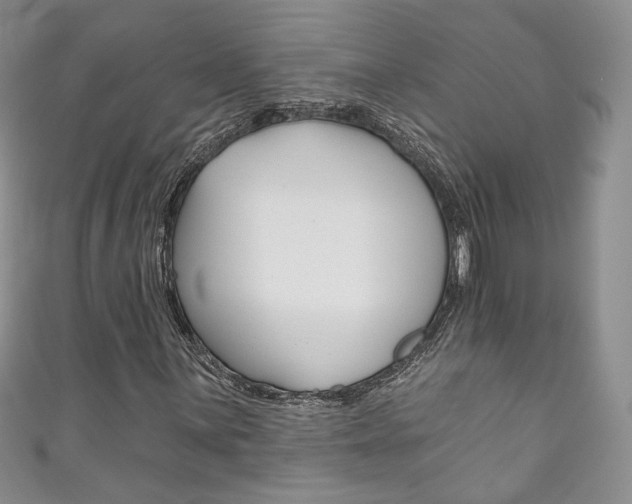 X0000111161059200906301053