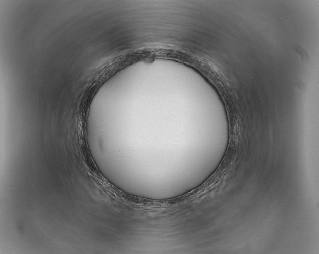 X0000111161062200906301053