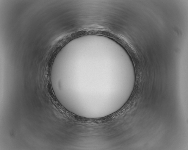 X0000111161063200906301053