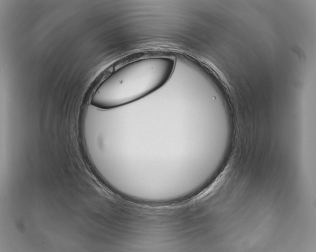 X0000111161065200906301053