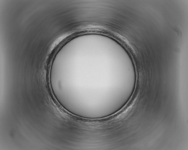 X0000111161066200906301053